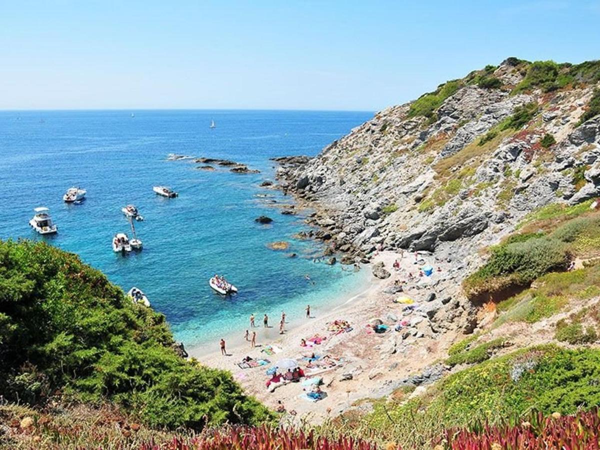 T3 Climatise Avec Jardin, Parking Prive, A 400M De La Plage Et Commerces - Fr-1-316-230 Six-Fours-les-Plages Eksteriør billede
